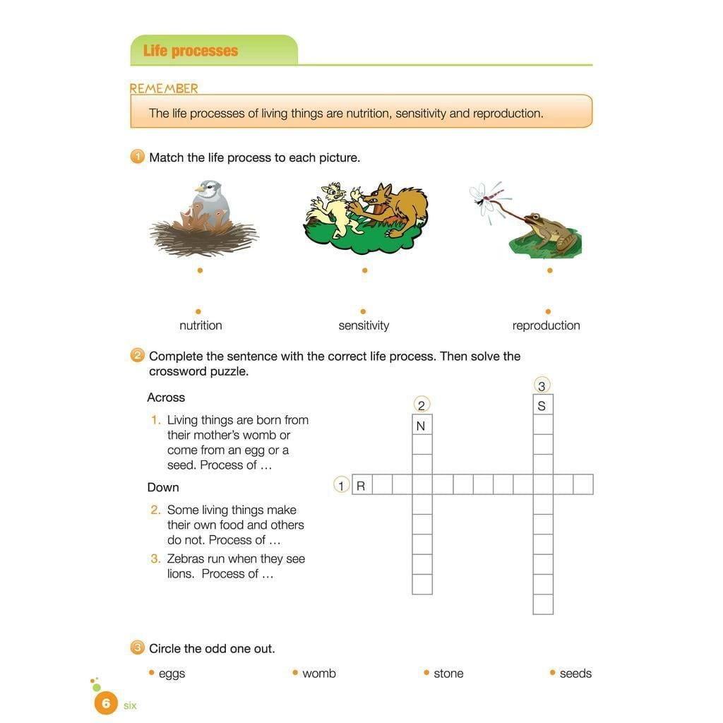 i-Learn Smart Science 3 Activity book