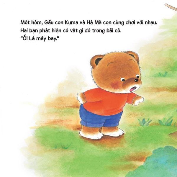 Trọn bộ sách tranh ehon Gấu con Kuma - Những chuyện nhỏ hàng ngày