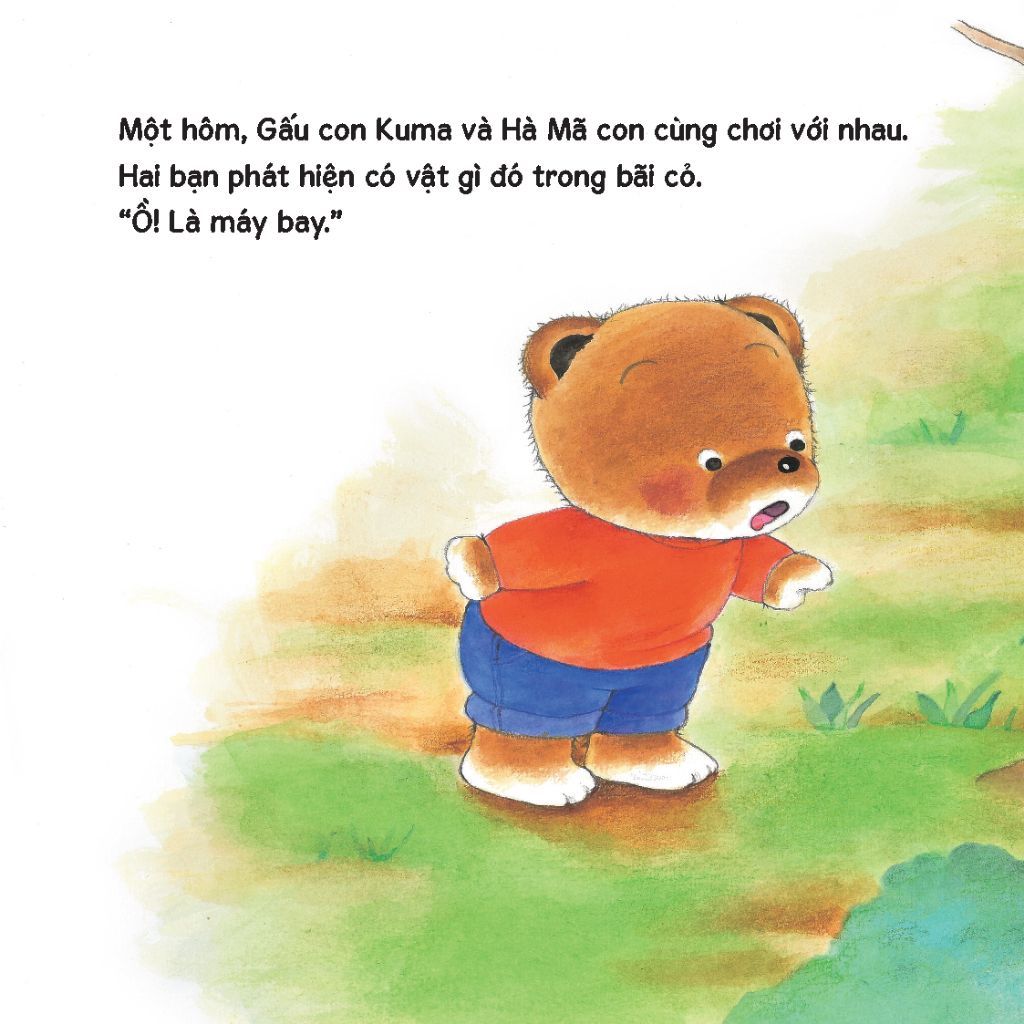 Trọn bộ sách tranh ehon Gấu con Kuma - Những chuyện nhỏ hàng ngày