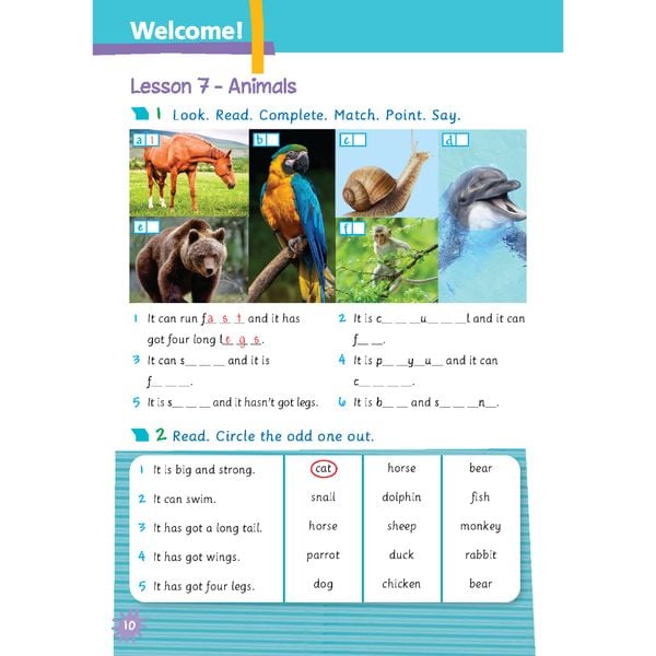 Tiếng Anh 5 Extra and Friends - Activity Book (Sách bài tập)