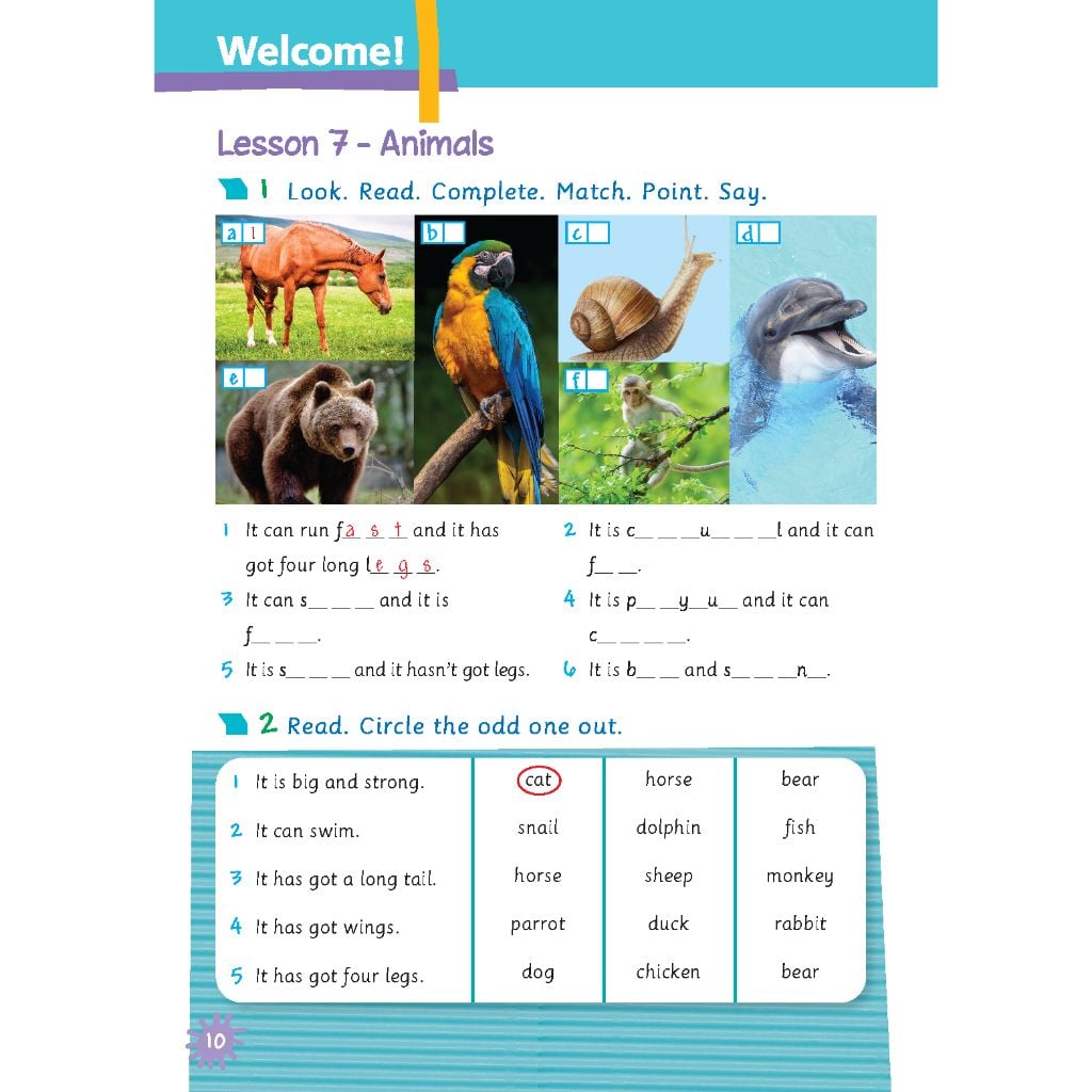 Tiếng Anh 5 Extra and Friends - Activity Book (Sách bài tập)
