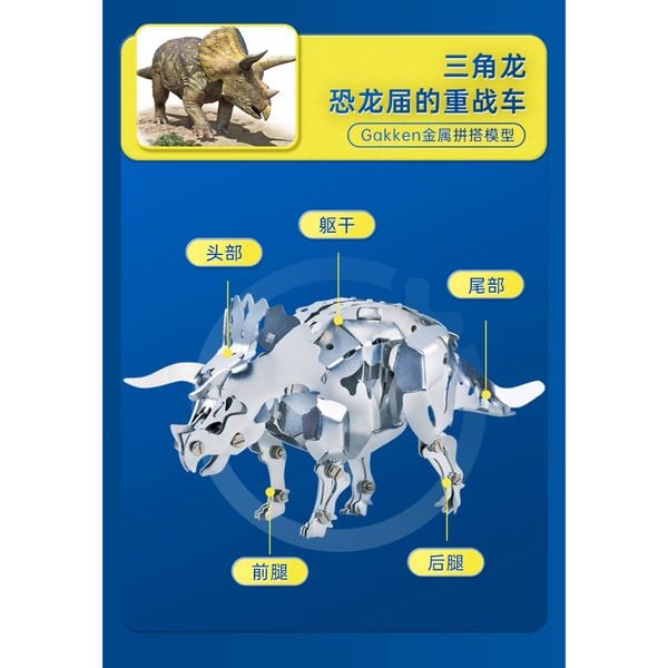 Aluminum Kit - Mô hình động vật - Đồ chơi mô hình