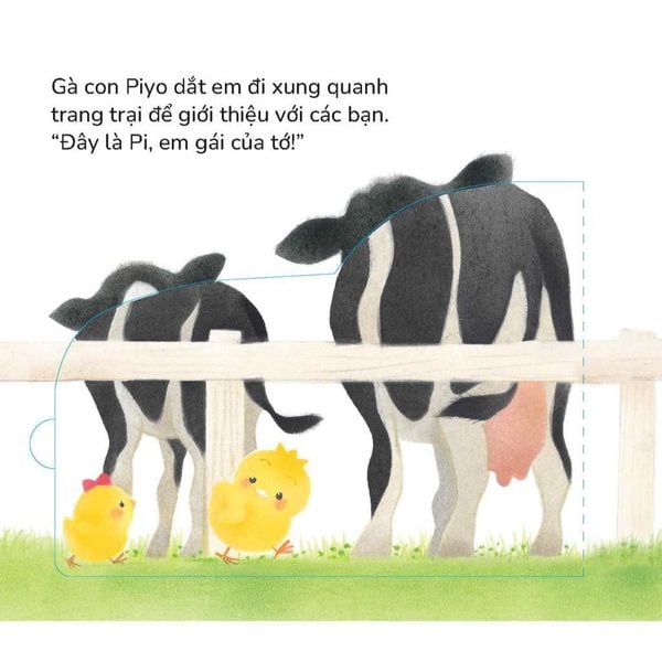 Gà con Piyo và Em gái - Sách tranh Pop-up