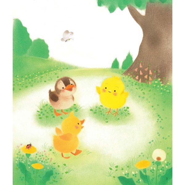 Gà con Piyo và Xuân Hạ Thu Đông