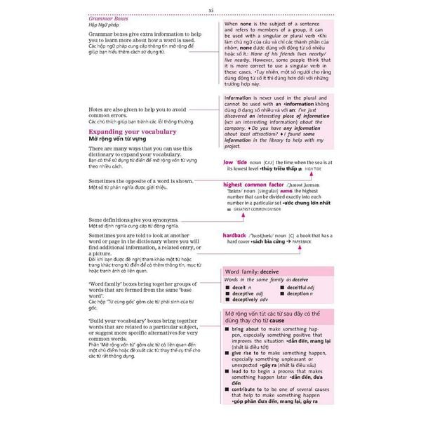 Macmillan Dictionary Vietnam ED with App– Soft cover