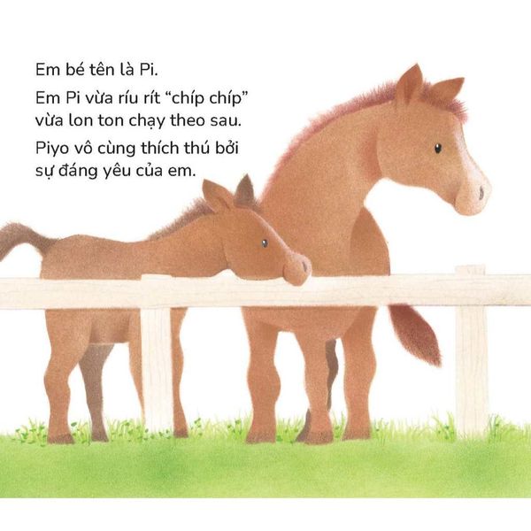 Gà con Piyo và Em gái - Sách tranh Pop-up