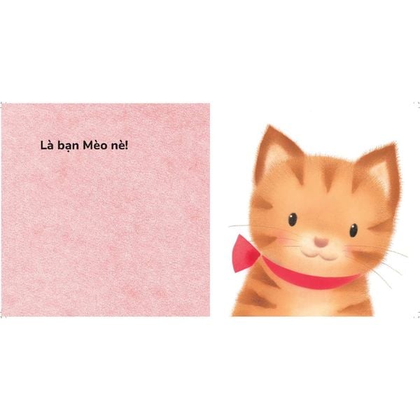 Chíp chíp! Ai vậy nhỉ? - Chơi cùng Gà con Piyo! (Mới) - Sách có khuôn cắt và gương