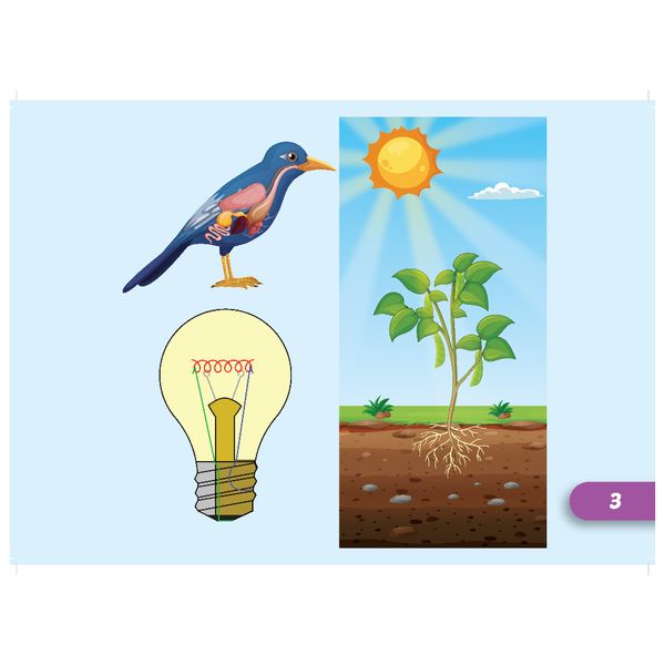 Tiếng Anh 5 i-Learn Smart Start - Flashcards