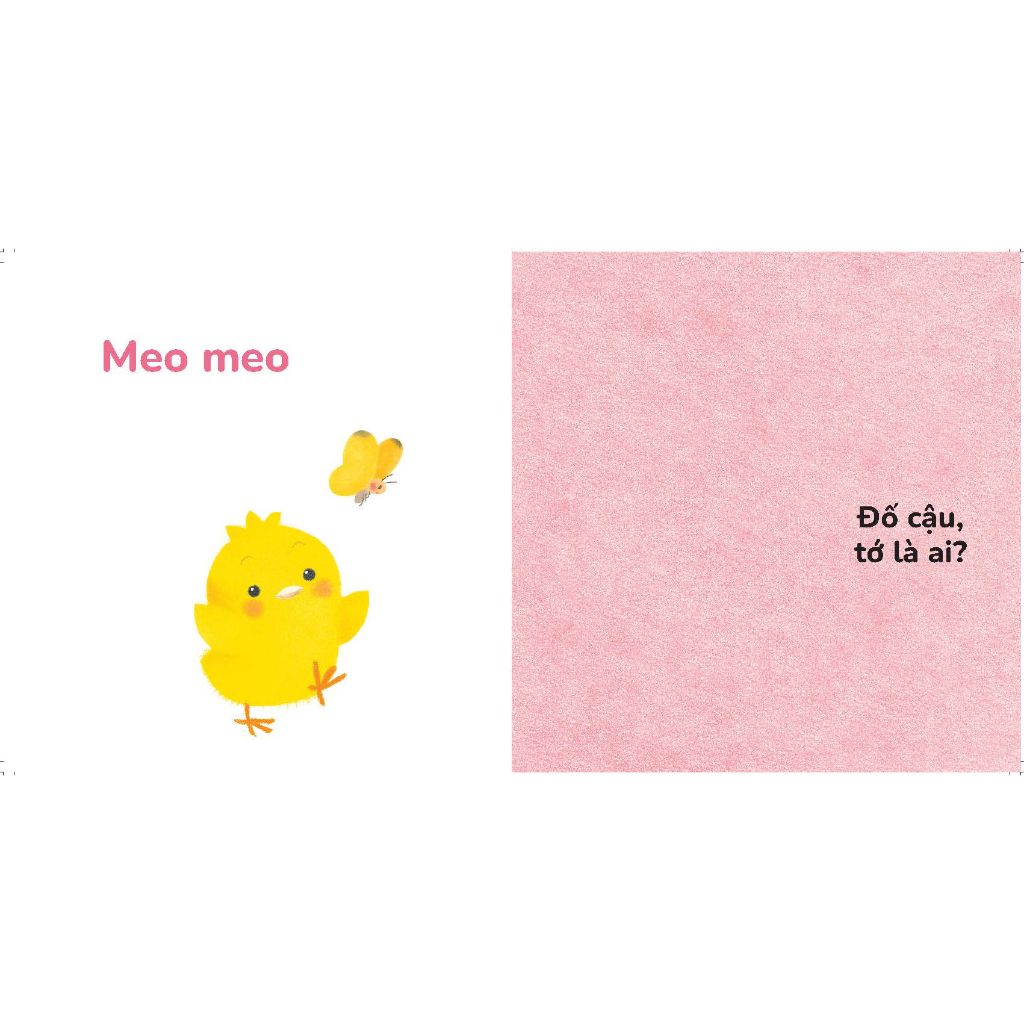 Chíp chíp! Ai vậy nhỉ? - Chơi cùng Gà con Piyo! (Mới) - Sách có khuôn cắt và gương