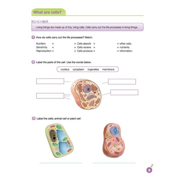 i-Learn Smart Science 5 Activity book