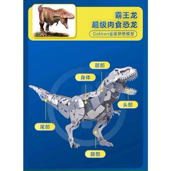 Aluminum Kit - Mô hình động vật - Đồ chơi mô hình