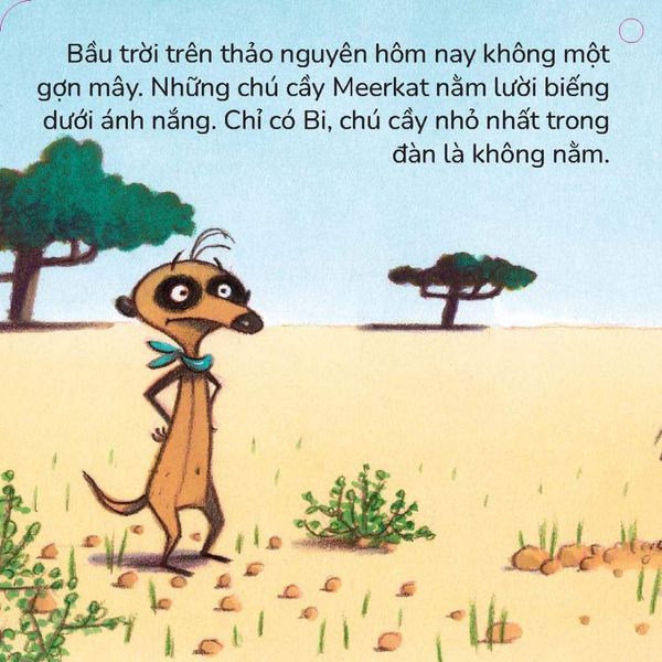 Bóng đá và những người bạn nhỏ - Tuyển tập PIXI Biết Tuốt