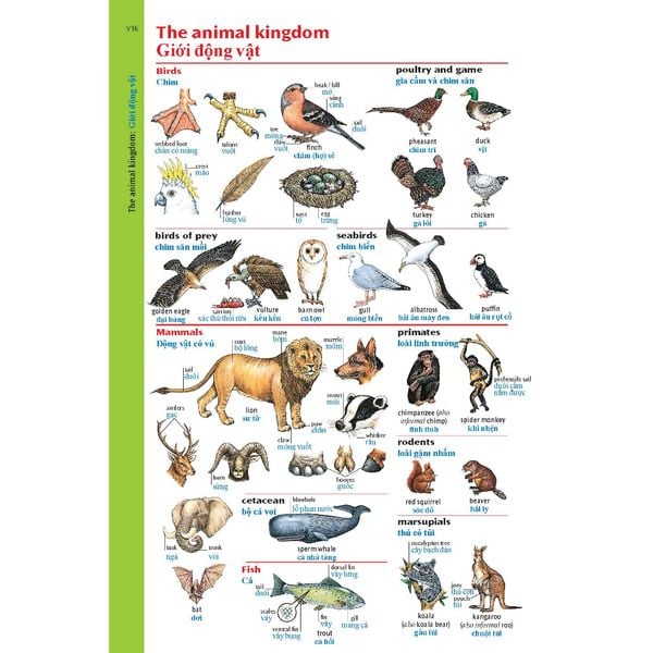 Oxford Advanced Learner