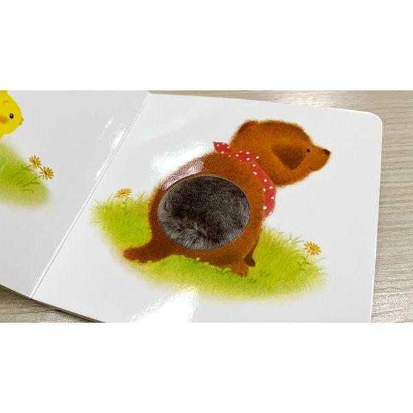 Bộ lông này của ai thế? - Chơi cùng gà con (Mới) - Tủ sách Ehon cho bé