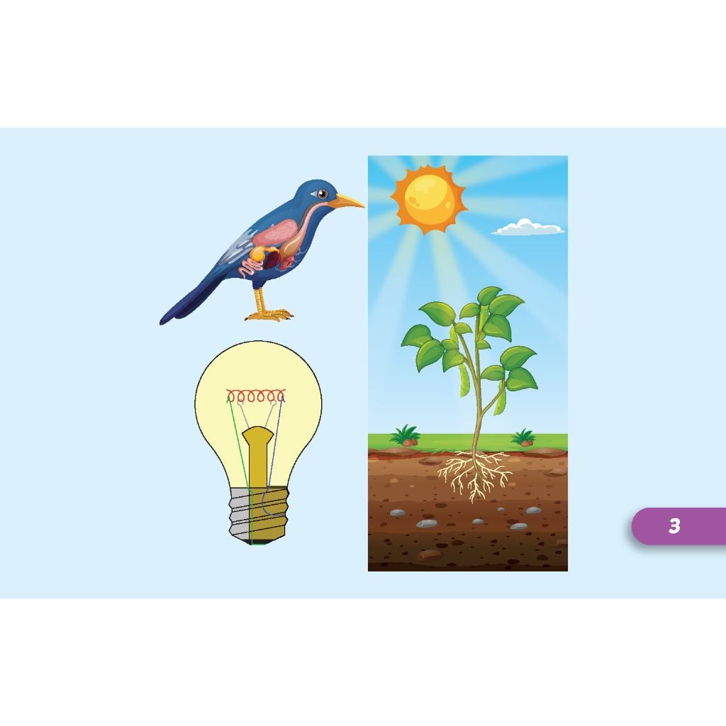 Tiếng Anh 5 i-Learn Smart Start - Student
