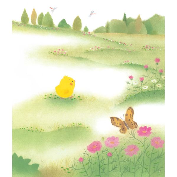 Gà con Piyo và bạn Nhím