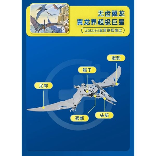 Aluminum Kit - Mô hình động vật - Đồ chơi mô hình