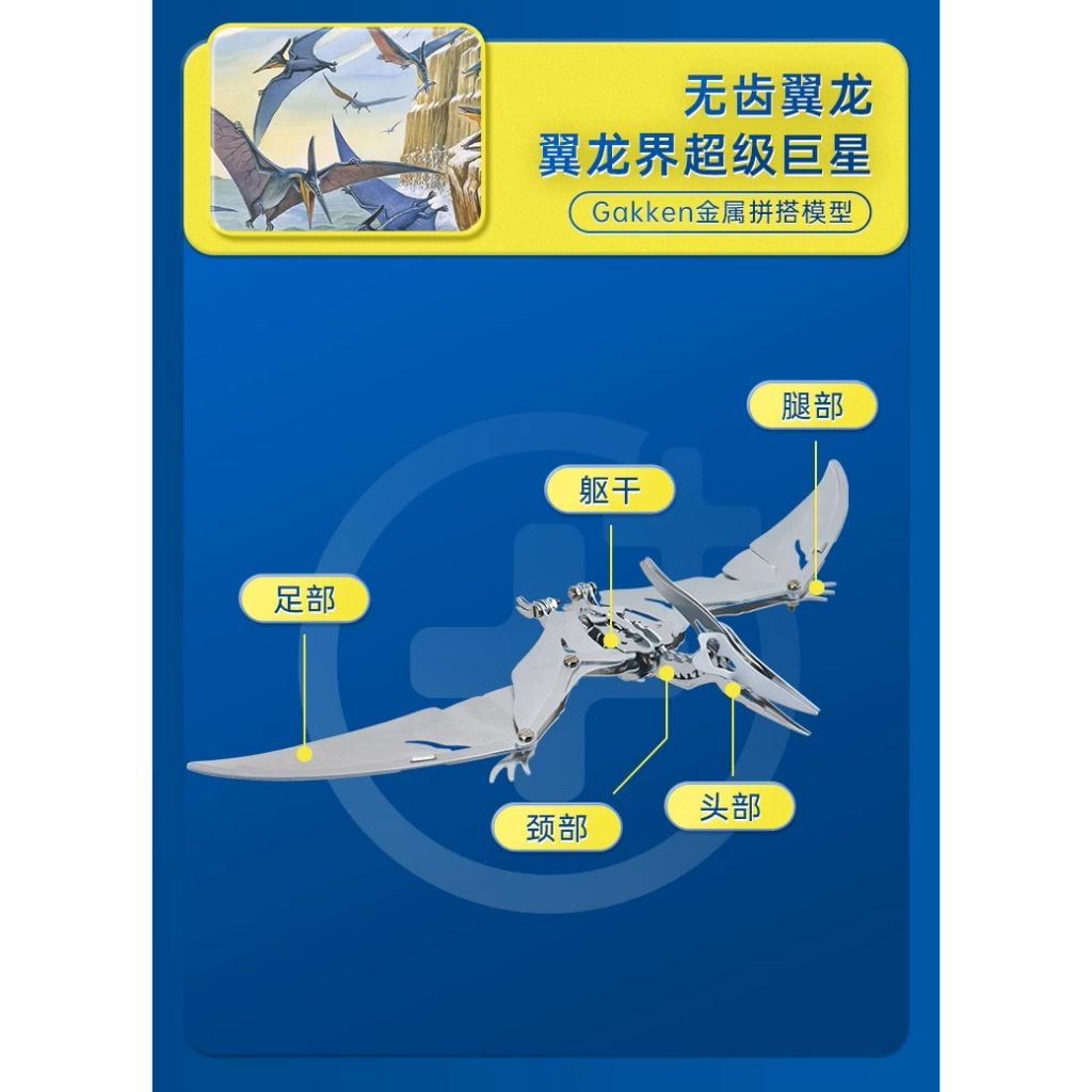 Aluminum Kit - Mô hình động vật - Đồ chơi mô hình