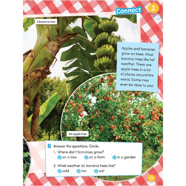 Hang Out 2 - Student Book