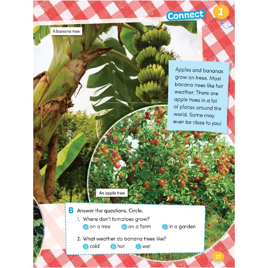 Hang Out 2 - Student Book