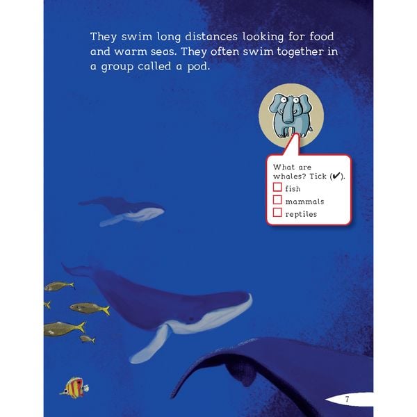 Helbling Young Reader - Lost on the Coast