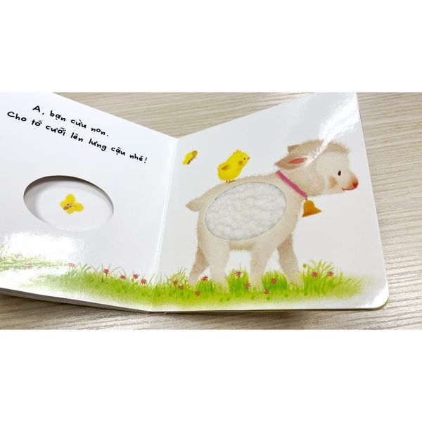 Bộ lông này của ai thế? - Chơi cùng gà con (Mới) - Tủ sách Ehon cho bé