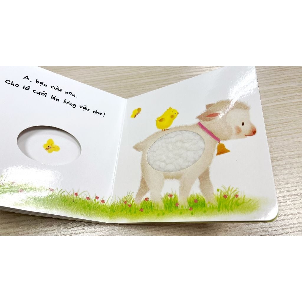 Bộ lông này của ai thế? - Chơi cùng gà con (Mới) - Tủ sách Ehon cho bé