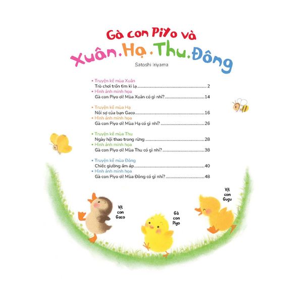 Gà con Piyo và Xuân Hạ Thu Đông