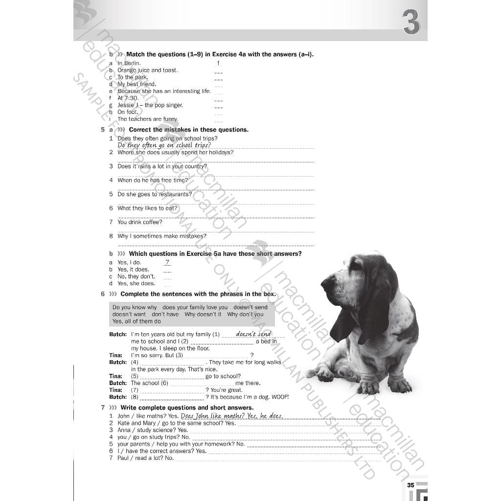 Beyond A2 Workbook