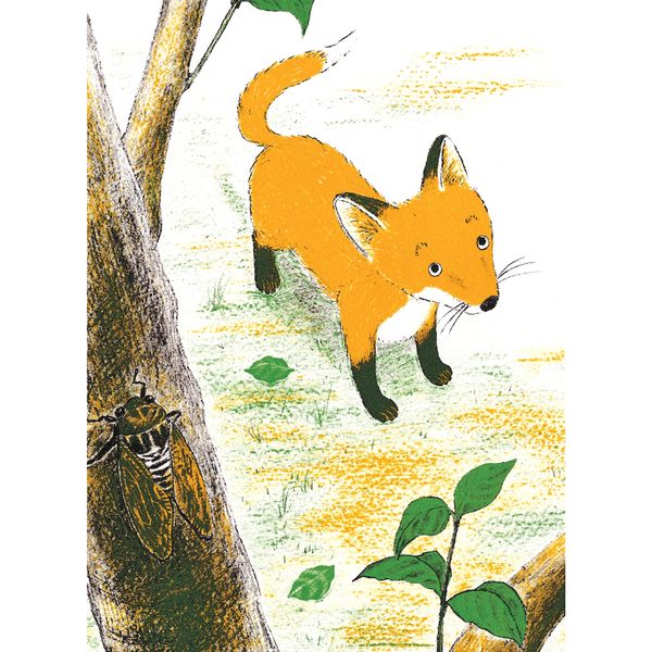 Tìm thấy rồi nhé! - Tủ sách nuôi dưỡng tâm hồn