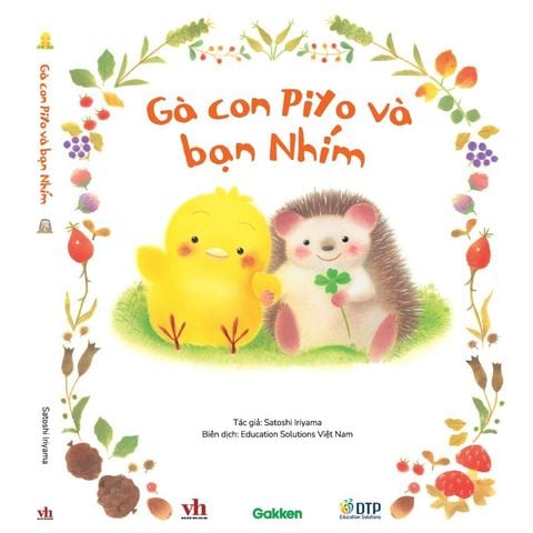 Gà con Piyo và bạn Nhím