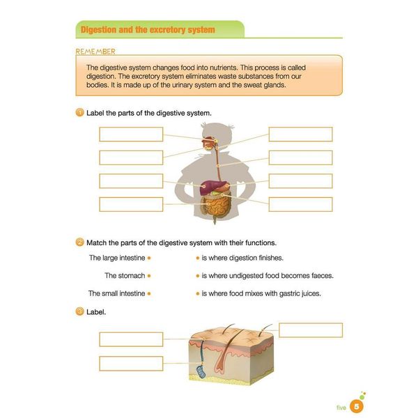 i-Learn Smart Science 4 Activity book
