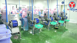  Cutting Machine For Nobashi Shrimp 