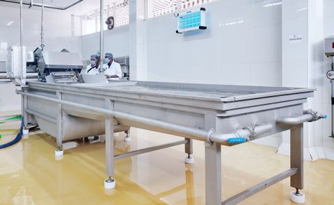  











    



        
    

HOSO Shrimp Washing Machine
 