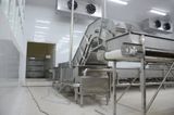  Fish Feeding Line 