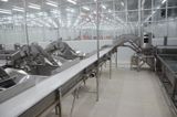  Post - Filleting Line 