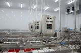  Breaded Conveyor 