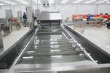  Fillet Washing Machine 