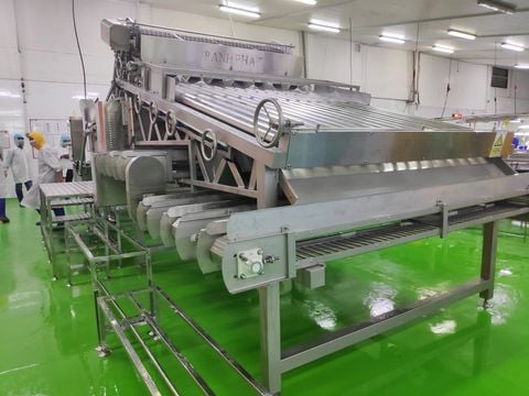  











    



        
    

Roller Grading Machine
 