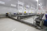 Băng tải lặt đầu--t--De - Heading Conveyor Line 