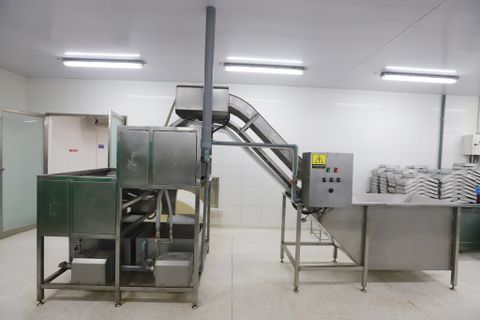  











    



        
    

Peeled Shrimp Washing Machine PD/PUD/PTO
 