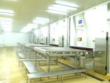  Individual Quick Freezer (Multi - Functions) 
