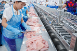  Khu định hình cá--t--Post - Filleting Line 