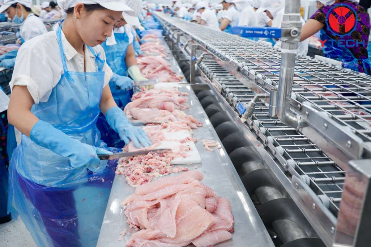  Khu định hình cá--t--Post - Filleting Line 