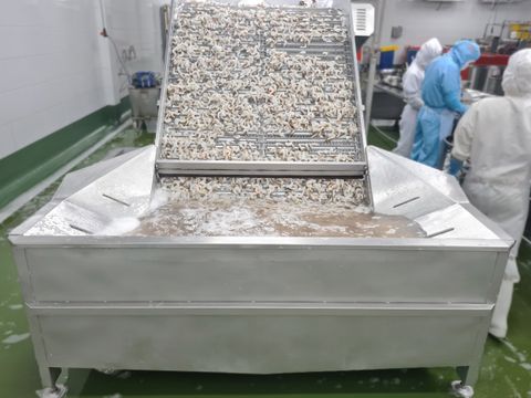  











    



        
    

Auto - Feeding Machine
 