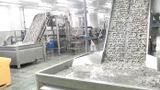 Smart Shrimp Sorter 