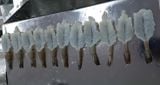  Máy xẻ tôm Sushi--t--Sushi & Butterfly Cutting Machine 