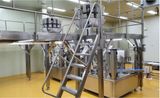  Feeding Elevator & Supporting Frame 