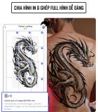  Máy scan hình xăm M08E-WS (Nâng cấp của mẫu M08F) 