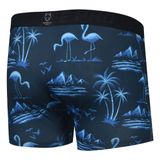  QUẦN UNDERWEAR HANDEE HỌA TIẾT CHIM HẠC 